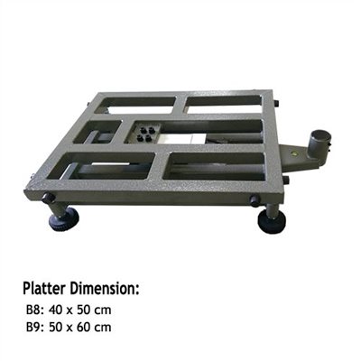 PLATFORM SCALE WITH B TYPE STRUCTURE
